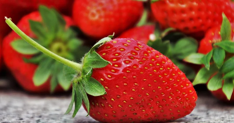 Les aliments aux effets documentés sur les marqueurs inflammatoires