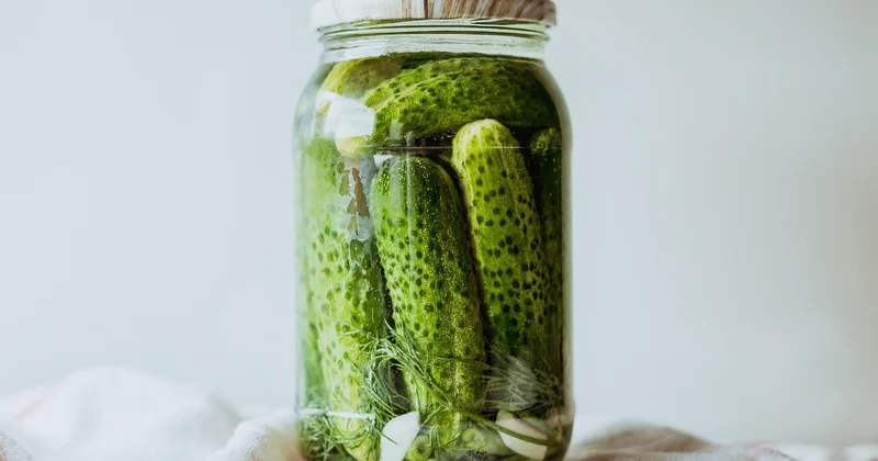 Les mécanismes de la fermentation lactique et leurs effets