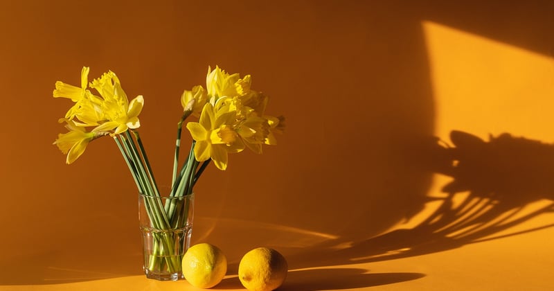 Fermentation maison : le secret d’une alimentation vivante et savoureuse